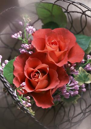 立川ショールーム｜タカラスタンダードの最新展示とリフォーム支援